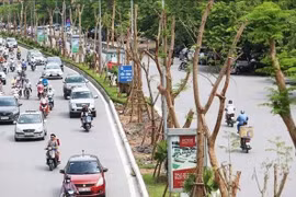 Các biện pháp bảo vệ sức khỏe cộng đồng trước ảnh hưởng của ô nhiễm không khí 