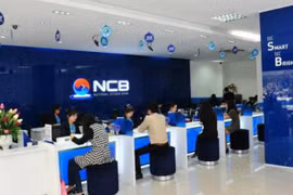 Sóng ngầm cổ phiếu NVB 