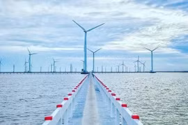 Asiapetro, Novasia Energy – những cái tên ‘lạ’ tại dự án điện gió La Gàn 10 tỉ USD (Ảnh minh hoạ)