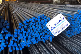 Lợi nhuận luỹ kế 6 tháng đầu năm 2021 của CTCP Tập đoàn Hoà Phát đã vượt cả năm 2020