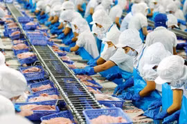 Chốt lời cổ phiếu IPA, một doanh nghiệp thuỷ sản thoát lỗ quý 3/2021