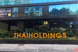 Thaiholdings đặt mục tiêu lãi 1.400 tỉ đồng năm 2021, mua thêm cổ phần Thaigroup