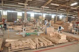 'Bóng' Lâm Việt Furniture tại nhà máy chế biến gỗ 4.400 tỉ ở Bình Định