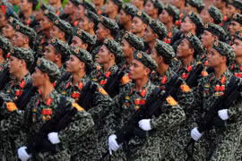 Lực lượng đổ bộ đường không quân đội Việt Nam 