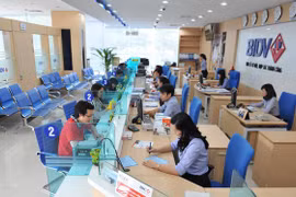 Ảnh minh họa (Nguồn: Internet)