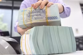 Ảnh minh họa (Nguồn: Internet) 