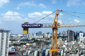 Ảnh minh họa (Nguồn: Internet)