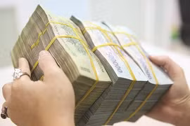 Trong sáu tháng đầu năm 2019, ngân sách nhà nước (NSNN) thặng dư tới gần 80.000 tỉ đồng. Ảnh: THÀNH HOA 