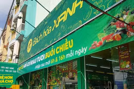  MWG sẽ tiến hành tăng vốn điều lệ cho CTCP Thương Mại Bách Hóa Xanh thêm 1.250 tỷ đồng trong tháng 11/2018 (Ảnh: Internet)