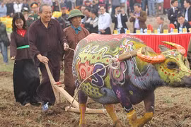 Phó Thủ tướng Thường trực Trương Hòa Bình xuống đồng cày Tịch điền ngày đầu năm mới Xuân Kỷ Hợi (Ảnh: VGP)
