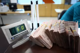 Ảnh minh họa (Nguồn: Internet)