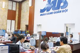 Ảnh minh họa (Nguồn: Internet)