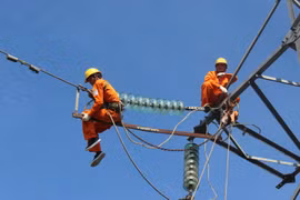 Ảnh minh họa (Nguồn: Internet)
