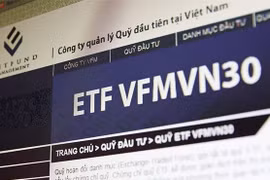 Ảnh minh họa (Nguồn: Internet)