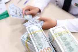 Ảnh minh họa (Nguồn: Internet)