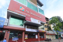 Một chi nhánh của Ngân hàng Nông Nghiệp và Phát triển Nông thôn Việt Nam tại Hà Nội (Nguồn: Internet)