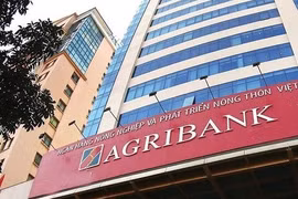 Ảnh minh họa (Nguồn: Internet)
