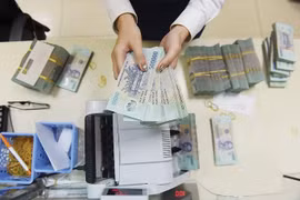 Ảnh minh họa (Nguồn: Internet)