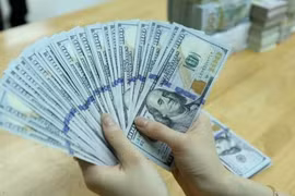 Ảnh minh họa (Nguồn: Internet)