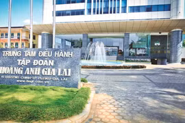 Ảnh minh họa (Nguồn: Internet)