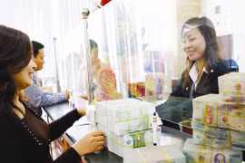 Ảnh minh họa (Nguồn: Internet)