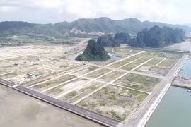 Lãi đậm như Du lịch Mai Quyền – chủ dự án 'hòn non bộ' ở Quảng Ninh