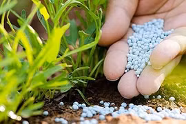 EVS: Triển vọng khả quan giúp kéo dài chu kỳ tăng giá của nhóm phân bón và hoá chất (Ảnh minh hoạ - Nguồn: Internet)