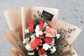 (ảnh minh họa)