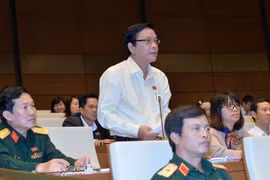  ĐBQH Nguyễn Hồng Vân (Phú Yên) có nhiều ý kiến đóng góp về hình thức xử lí kỉ luật đối với công chức sau khi nghỉ hưu.