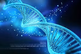 Giải mã ADN rất cần đến công nghệ thông tin. Ảnh: blogsinhhoc.com