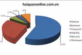 Cơ cấu thị trường ô tô nhập khẩu trong tháng 7. Biểu đồ: T.Bình.