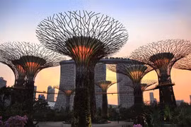 Với tốc độ truy cập Internet cao ở Singapore thì mức phí chi trả cũng không hề rẻ. ẢNH CHỤP MÀN HÌNH
