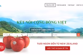 Mạng lưới Vietsearch kết nối cộng đồng người Việt (ảnh chụp màn hình) 