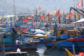 Thuyền thúng trên các tàu cá của ngư dân miền Trung
