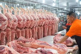 Giá thị lợn và nguyên liệu đầu vào có xu hướng tăng cao (ảnh Cổng thông tin Chính phủ)
