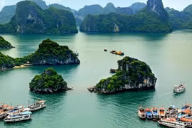 Ảnh minh họa.