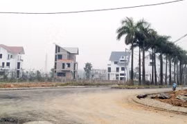 Ảnh minh họa