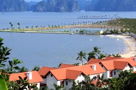 Ảnh minh họa.