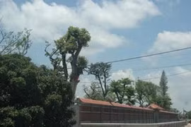 Bên ngoài của “dinh thự” 