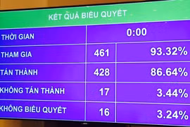 428 đại biểu, tương đương 86,64% thông qua chủ trương đầu tư Dự án Cảng hàng không quốc tế Long Thành 