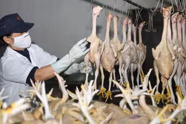 Nhiều loại phí, lệ phí với gà chồng chéo làm tăng chi phí sản xuất, lưu thông của doanh nghiệp.