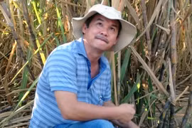 Bầu Đức ngoài trồng cao su vừa mở rộng thêm sang chăn nuôi bò thịt