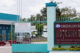 Xí nghiệp Ngọc Sinh để lại món nợ 300 tỷ đồng.