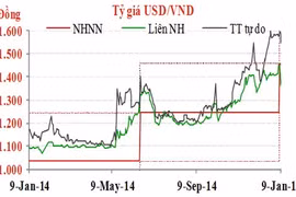Diễn biến tỷ giá USD/VND trong một năm qua - Nguồn: TNG Holdings Việt Nam.