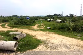 Dự án trong tình trạng hoang vắng