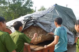 Tảng đá đang được tạm giữ tại Công an tỉnh Đắk Nông