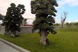 Một góc khu lăng mộ và nhà tưởng niệm