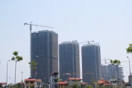 Ảnh minh họa
