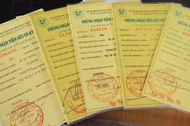 Bà P. đột tử để lại rất nhiều tài sản, sổ tiết kiệm trị giá lớn nhưng không có di chúc (hình minh họa)