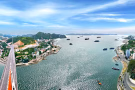 Ảnh minh họa